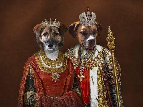 Slechthorend Je zal beter worden Dicteren The King & Queen - Personalised Two Pet Canvas – FABLE & FANG
